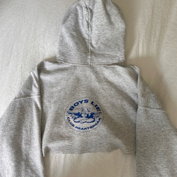Boys lie hoodie - Picture 3 of 7